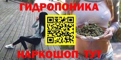гидропоника Заводоуковск