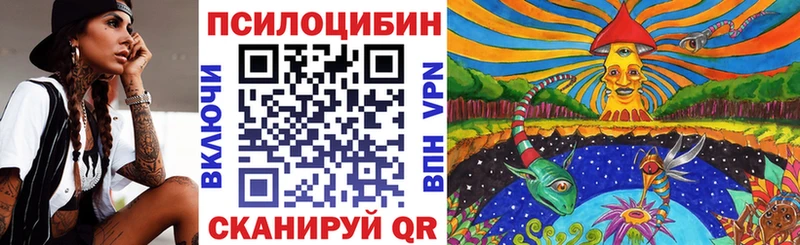 Галлюциногенные грибы Psilocybe  Георгиевск 