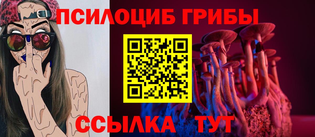 Галлюциногенные грибы MAGIC MUSHROOMS  Псилоцибиновые грибы GOLDEN TEACHER  цена   Вход с VPN  Георгиевск 